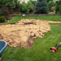 McCormick-Sod-Project-Before