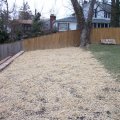 Arlington Landscaped Wall Grass Seeded Strawed